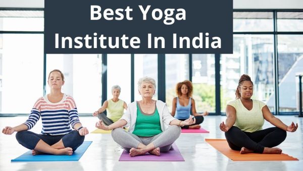 Best Yoga Institute In India