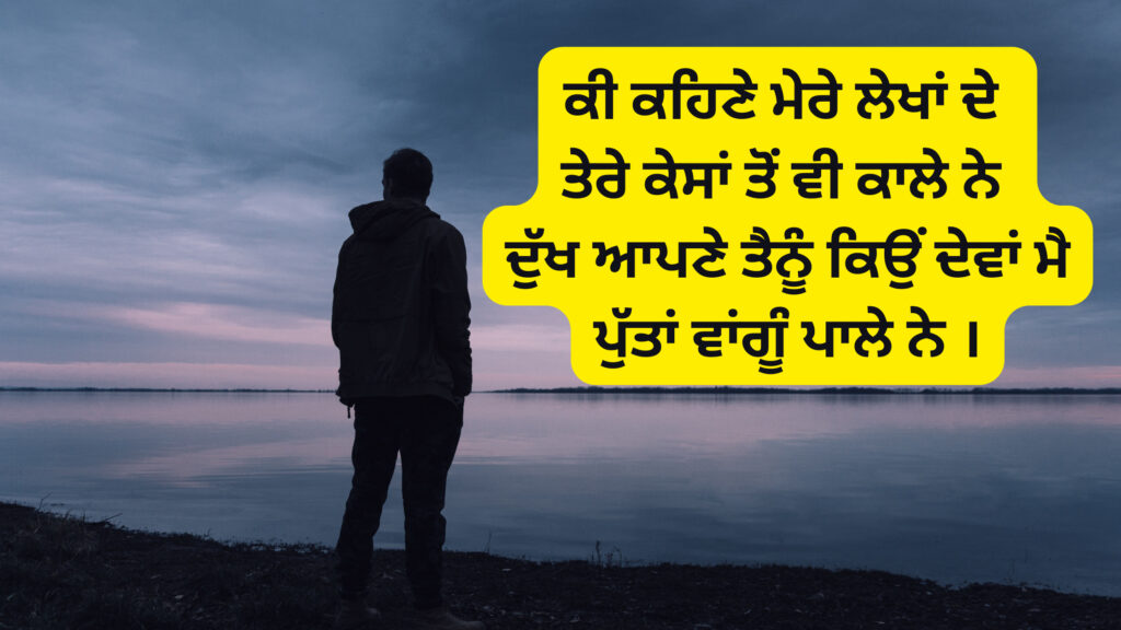 Punjabi Sad Shayari about love